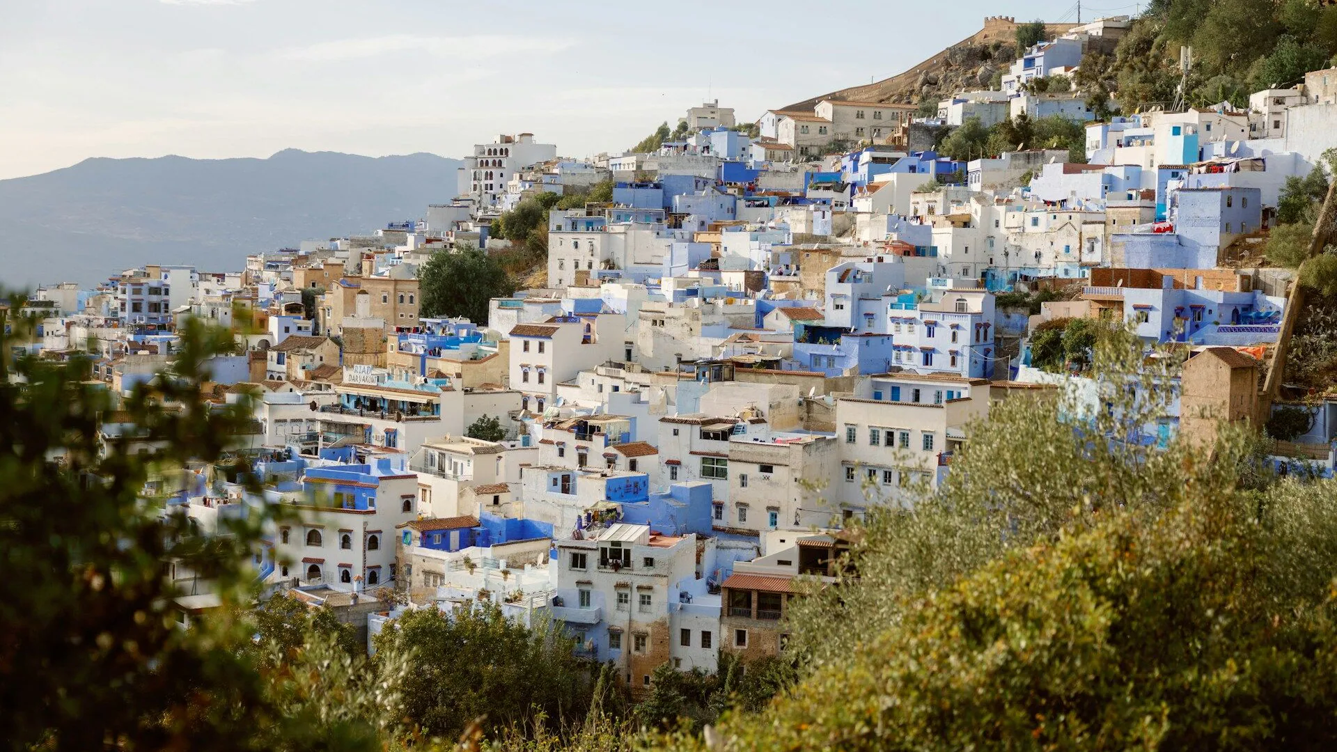 Traducteur tamazight — traduction et interprétariat en tamazight du Moyen-Atlas